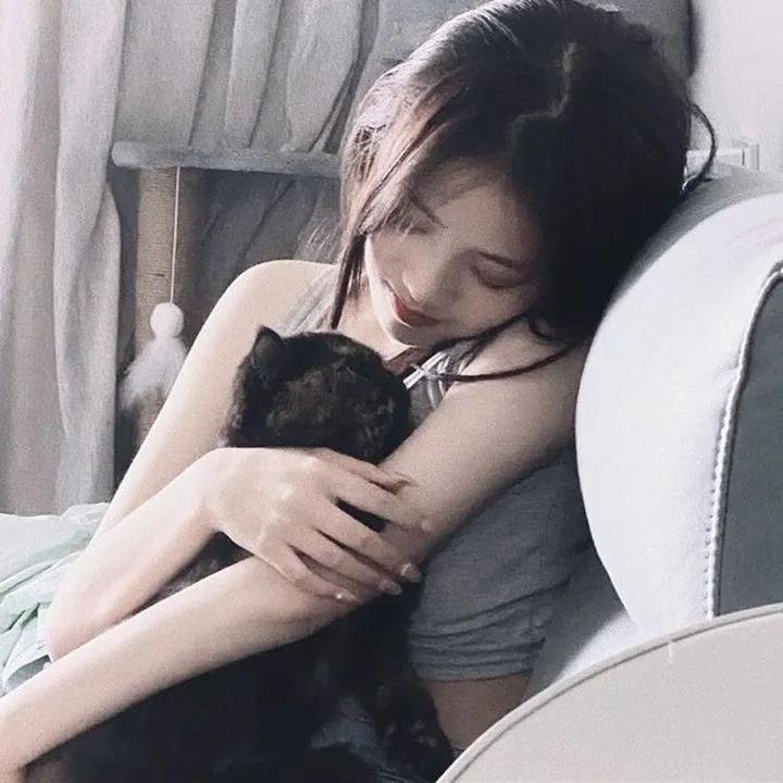 维也纳血案第二季